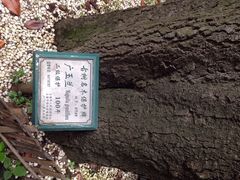 iphone_upload_pic-上海艾本精品酒店