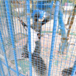 -萌宠亲子动物乐园(槐房万达店)