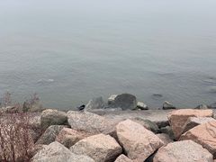 -深圳湾公园(南山区)