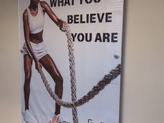 -健身专家Wellness Experts