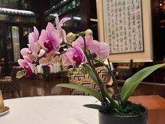 -明阁 Ming Court(广州朗豪酒店)