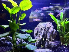 -上海海洋水族馆