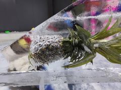 -宁波冰雪大世界(北仑区)