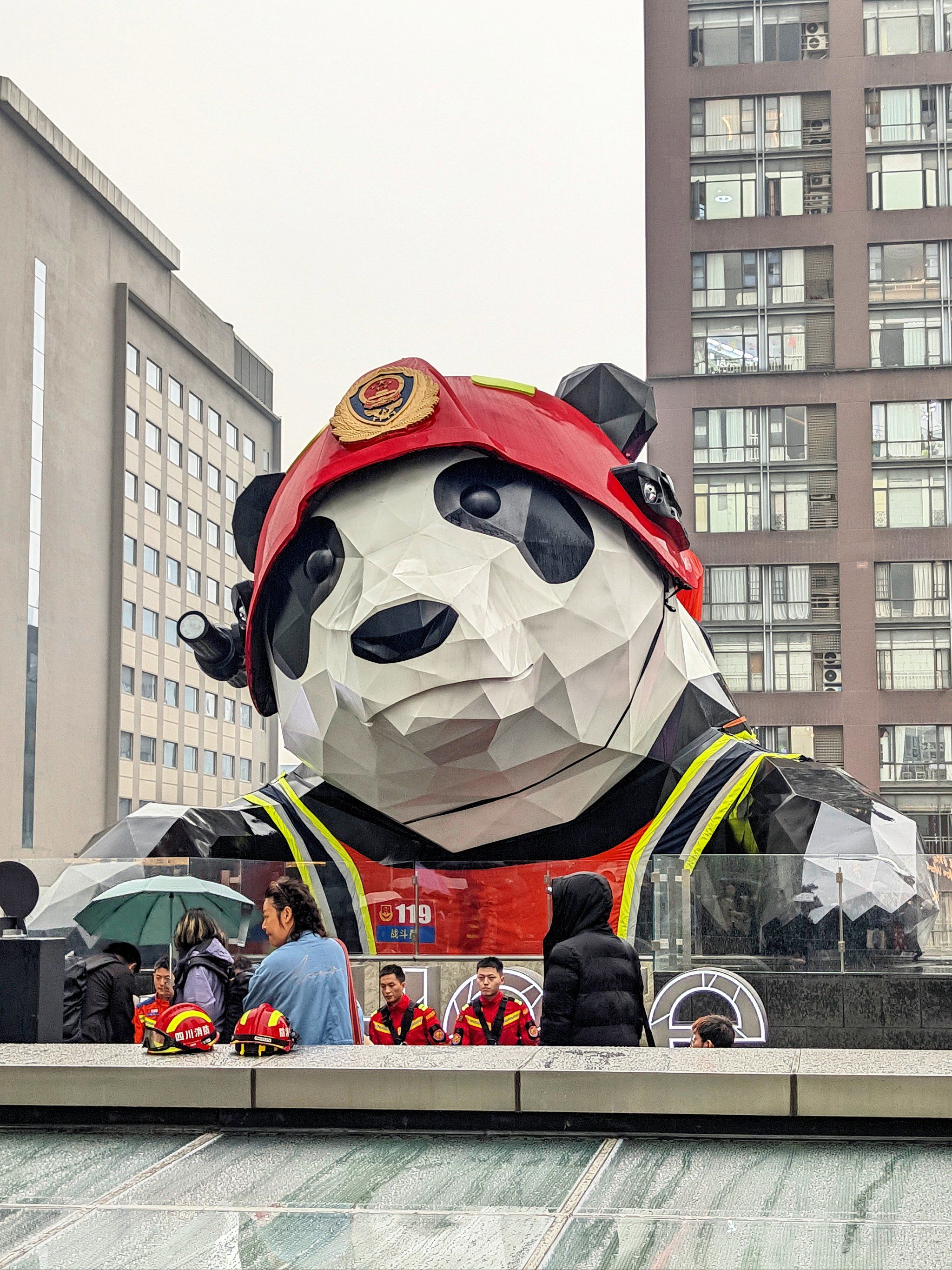 限定一天,快来春熙路打卡拍照📸
#大熊猫#成都ifs#成都ifs大熊猫