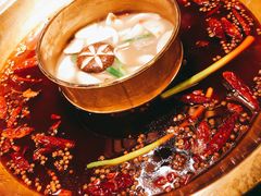-Xiao Long Kan Hotpot Sydney 小龙坎老火锅