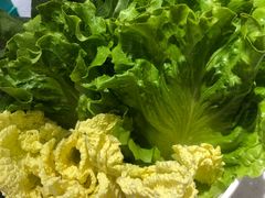 -古乐牛香·鲜牛肉牛杂火锅(新区店)