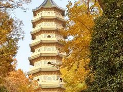 -灵谷景区