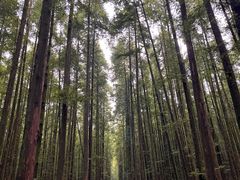 -山王坪喀斯特国家生态公园
