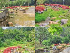 -黄埔油麻山森林公园