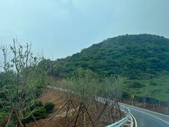-大姆山草场