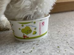 -谐和贝康宠物医院24小时·宠保定点(急重症转诊中心)