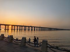 -宝安西湾红树林湿地公园