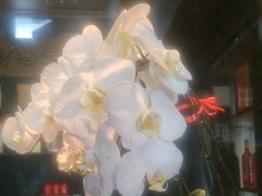 -浩运·海鲜青岛菜·海胆水饺(石老人店)
