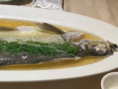 清蒸酒香鲥鱼-成隆行·蟹王府(九江路店)