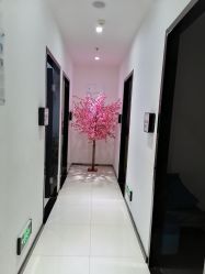 -馨美女性健康管理中心