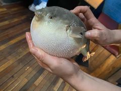 -永安鱼庄·镇江菜(丁卯店)