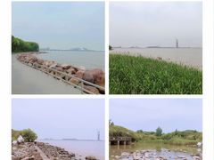 -上海吴淞炮台湾国家湿地公园