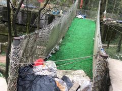 -梦幻奥陶纪景区