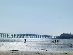 -星海湾跨海大桥