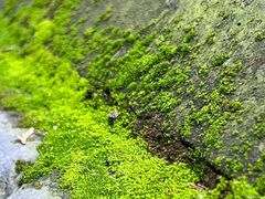 -颐和园