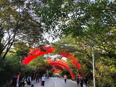 -中国盱眙国际龙虾节广场
