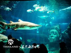 -暹罗海洋世界