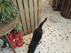-萤火虫咖啡(后海店)