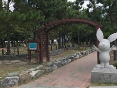 -海云台海滩