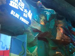 -青岛嘉年华主题乐园