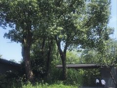 -木守西溪溪隐餐厅