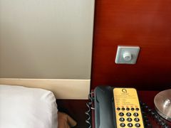 -南桥绿地铂骊酒店