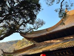-普陀山风景名胜区-法雨禅寺