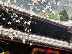 -缙云山景区