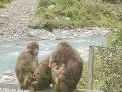 -土司宴