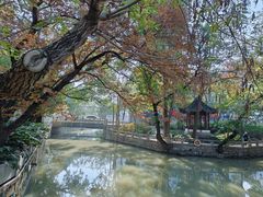 -汇龙潭