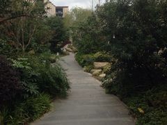 -上海崇明金茂凯悦酒店