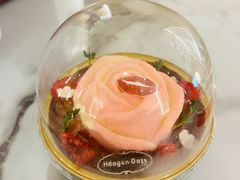 -哈根达斯(国瑞店)