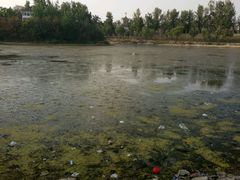 -商丘市人民公园