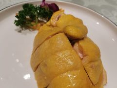 白斩鸡-鑫鑫大酒店(共和新路店)