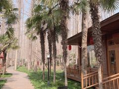 -上海怡沁园度假酒店
