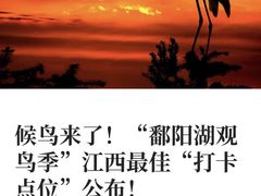 -鄱阳湖国家湿地公园