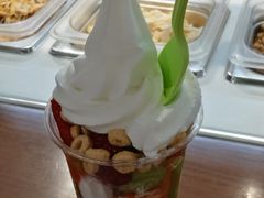 中杯地理-三佰瑞冻酸奶(凯德MALL店)