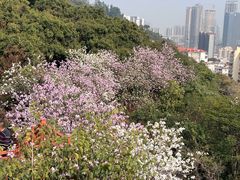 -小南山公园