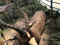 -陕西自然博物馆