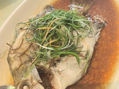 -龙禧渔村酒楼