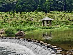 -广州市石门国家森林公园