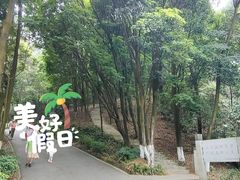 -广州市帽峰山景区