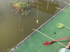 -同銮特种养殖场·龙虾垂钓