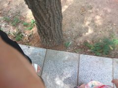 -长春公园(普阳街道)