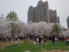 -堤角公园